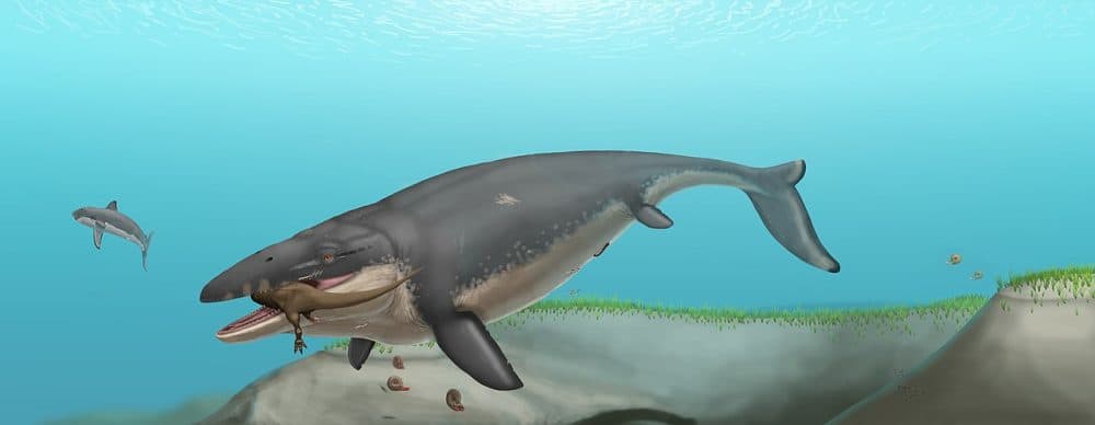 A life reconstruction of Mosasaurus feeding on a juvenile abelisaurid. Courtesy of Jonagold2000 via Wikimedia Commons.