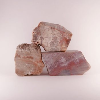 petrified wood chunks