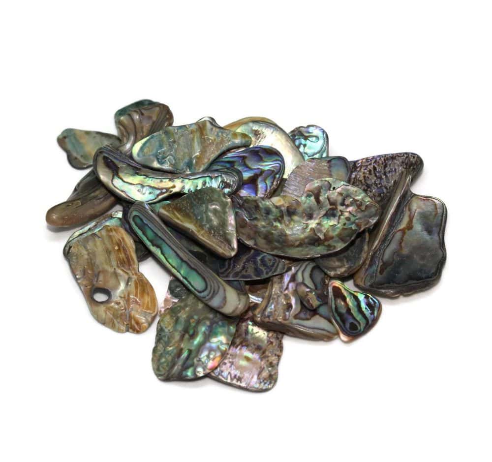 Paua / Abalone Shell Pieces