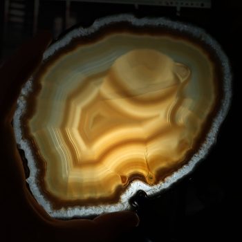 agate slices (7)