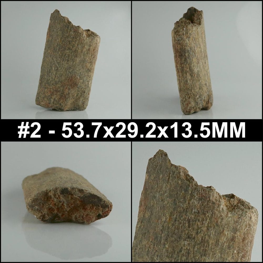 dinosaur bone fragments (unidentified)
