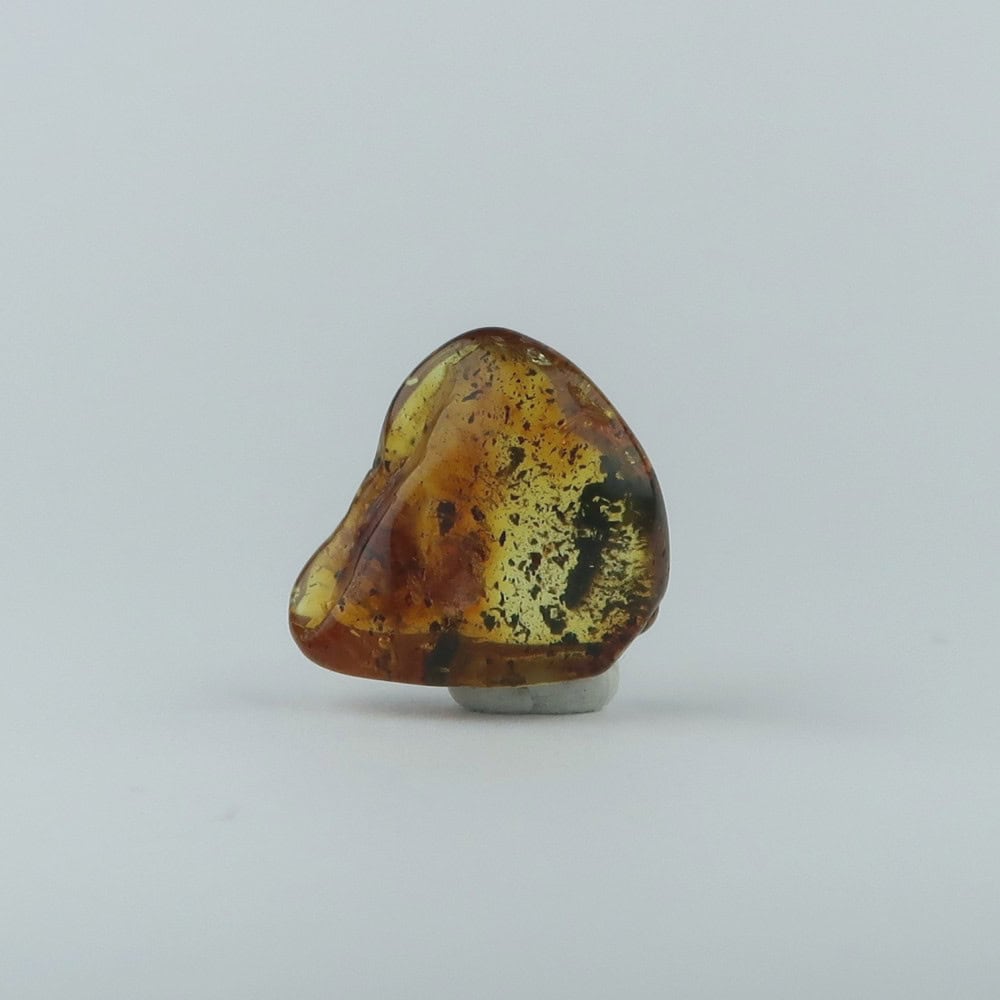 amber with insects (baltic)