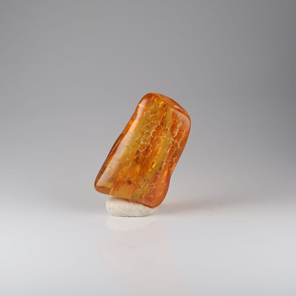 amber with insects (baltic)