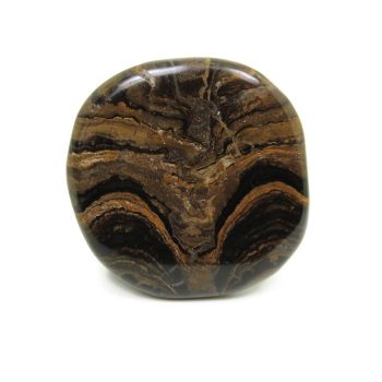 Category for our Stromatolite fossils for sale in the UK.