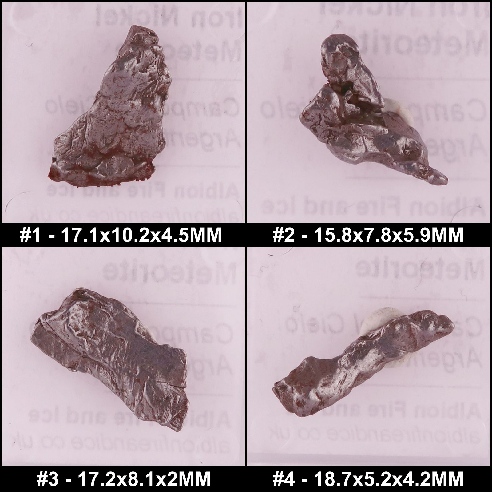 campo del cielo meteorite specimens