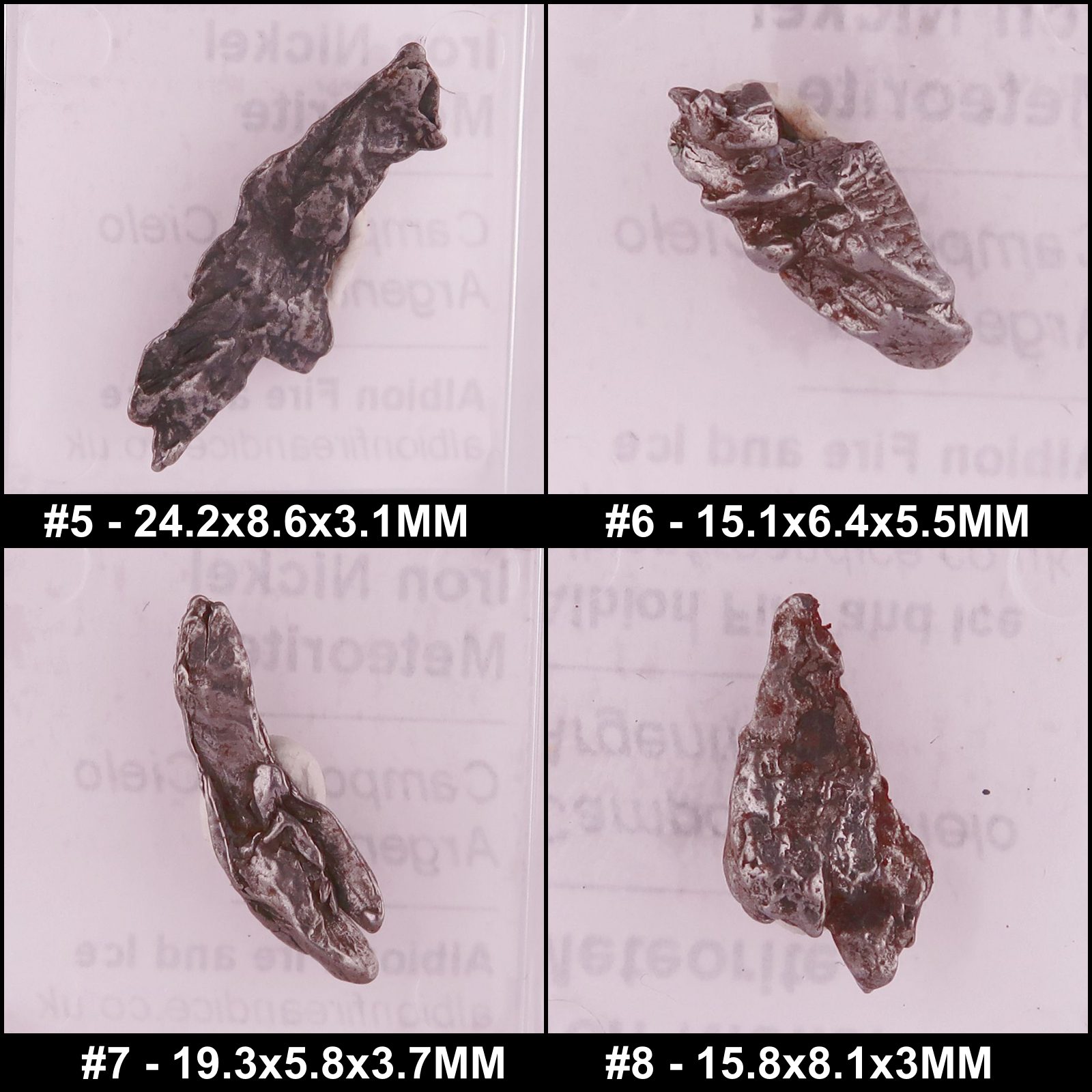 campo del cielo meteorite specimens
