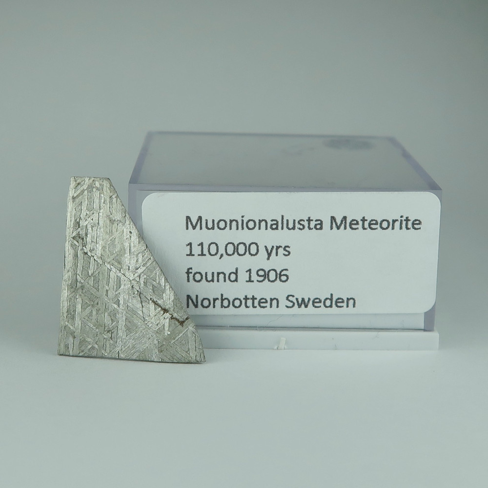 muonionalusta meteorite slices
