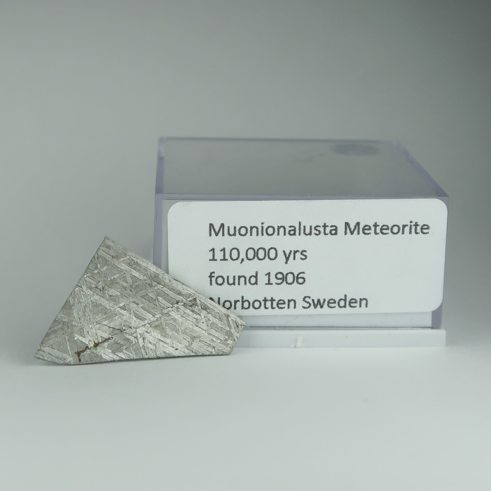 muonionalusta meteorite slices