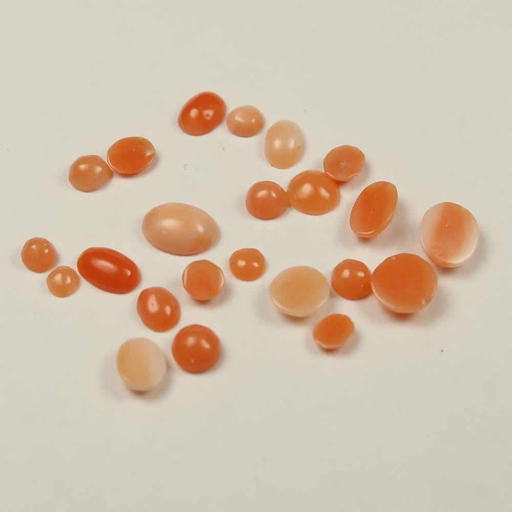 coral cabochons