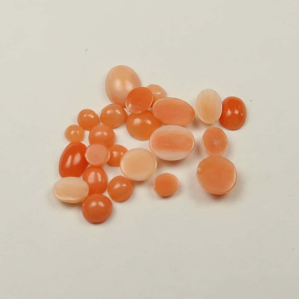 coral cabochons