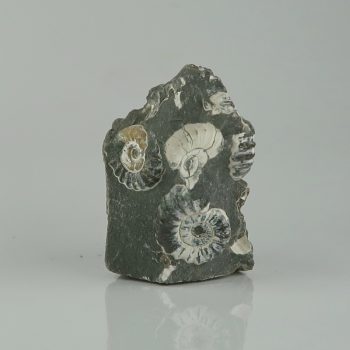 marston marble specimens