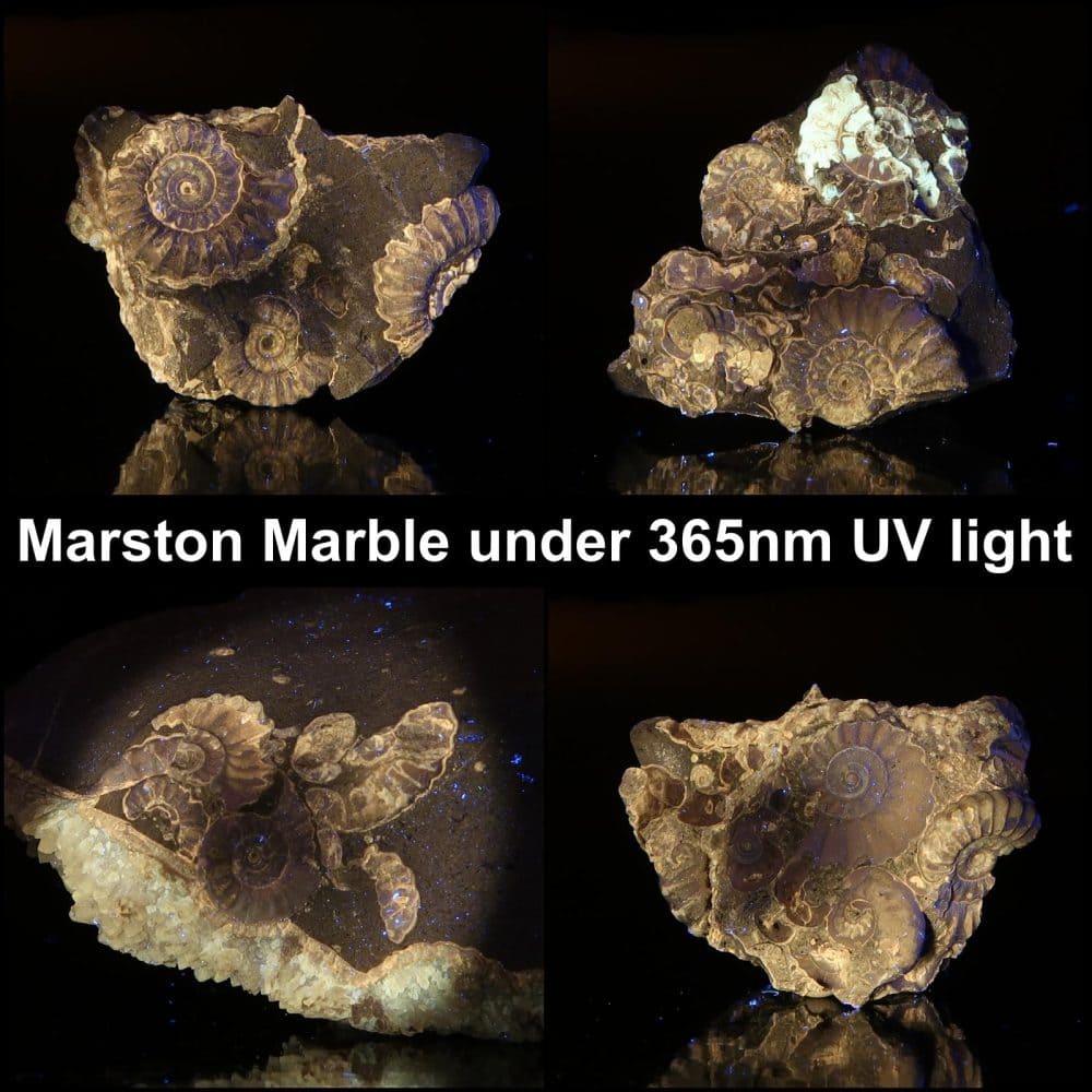 marston marble specimens