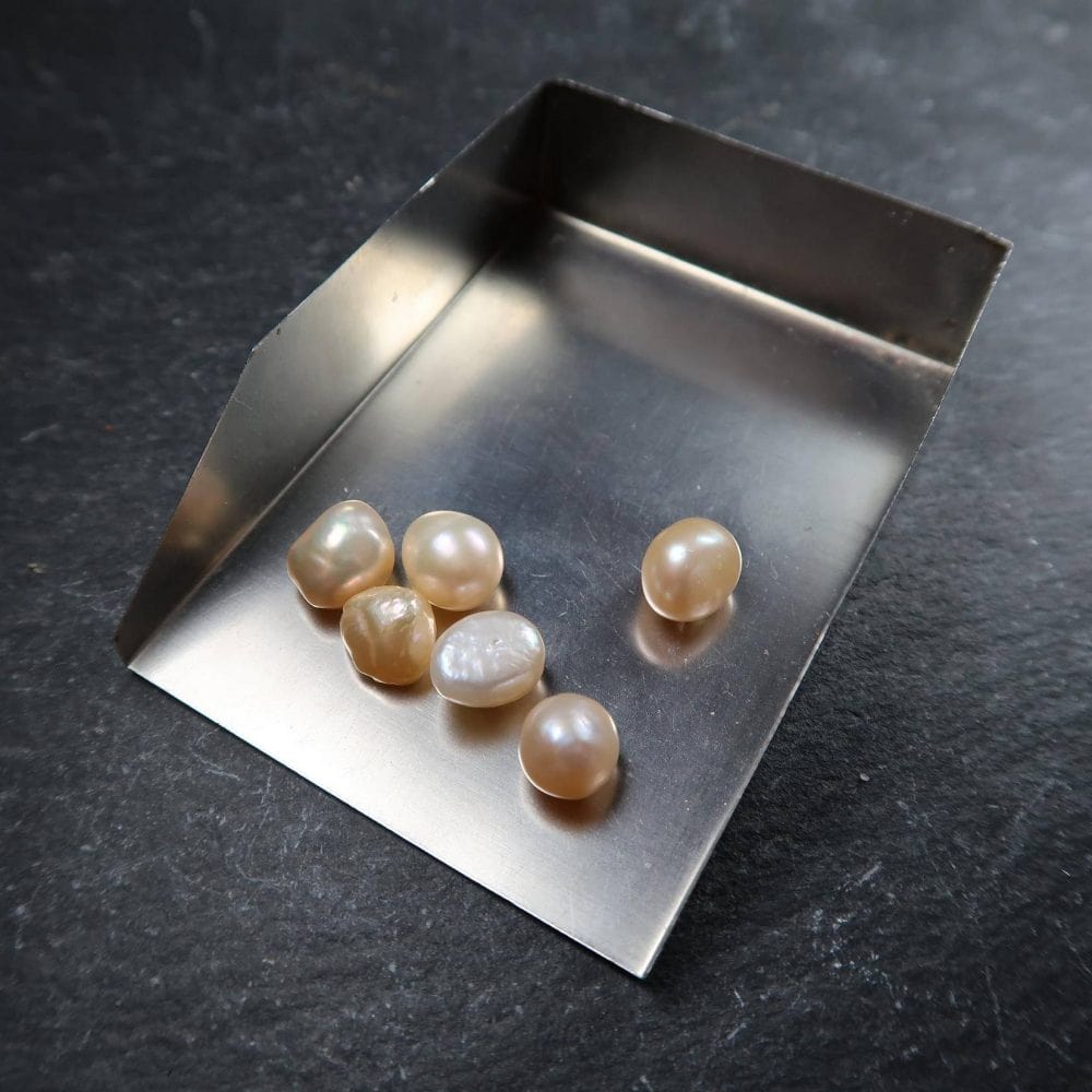 Cultured Pearl Specimens (1)