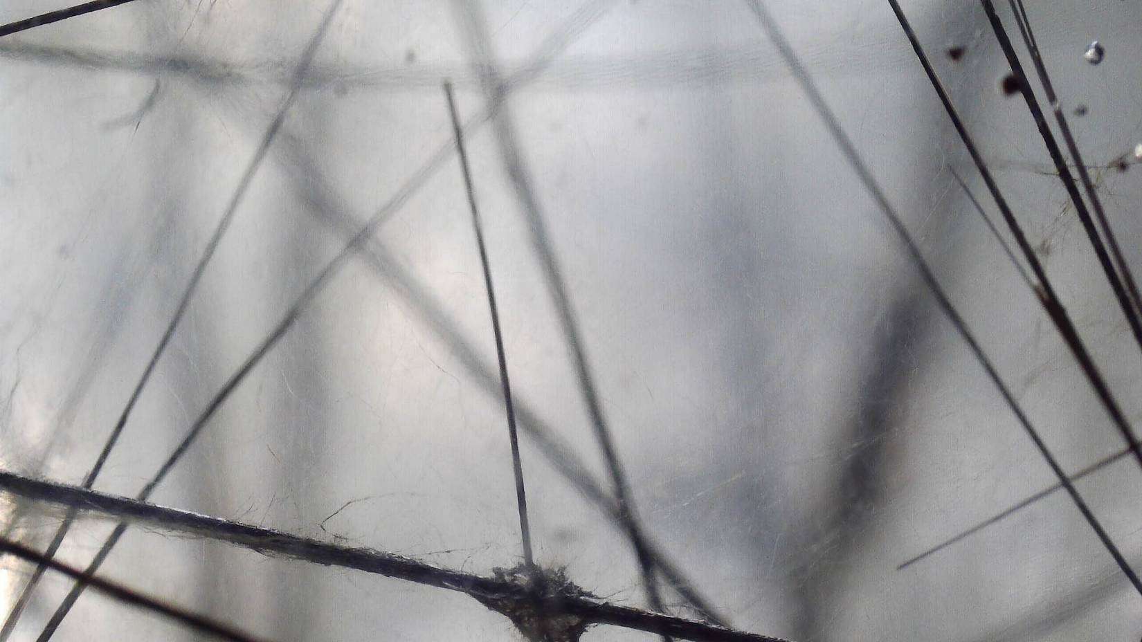Actinolite In Quartz Point (3)