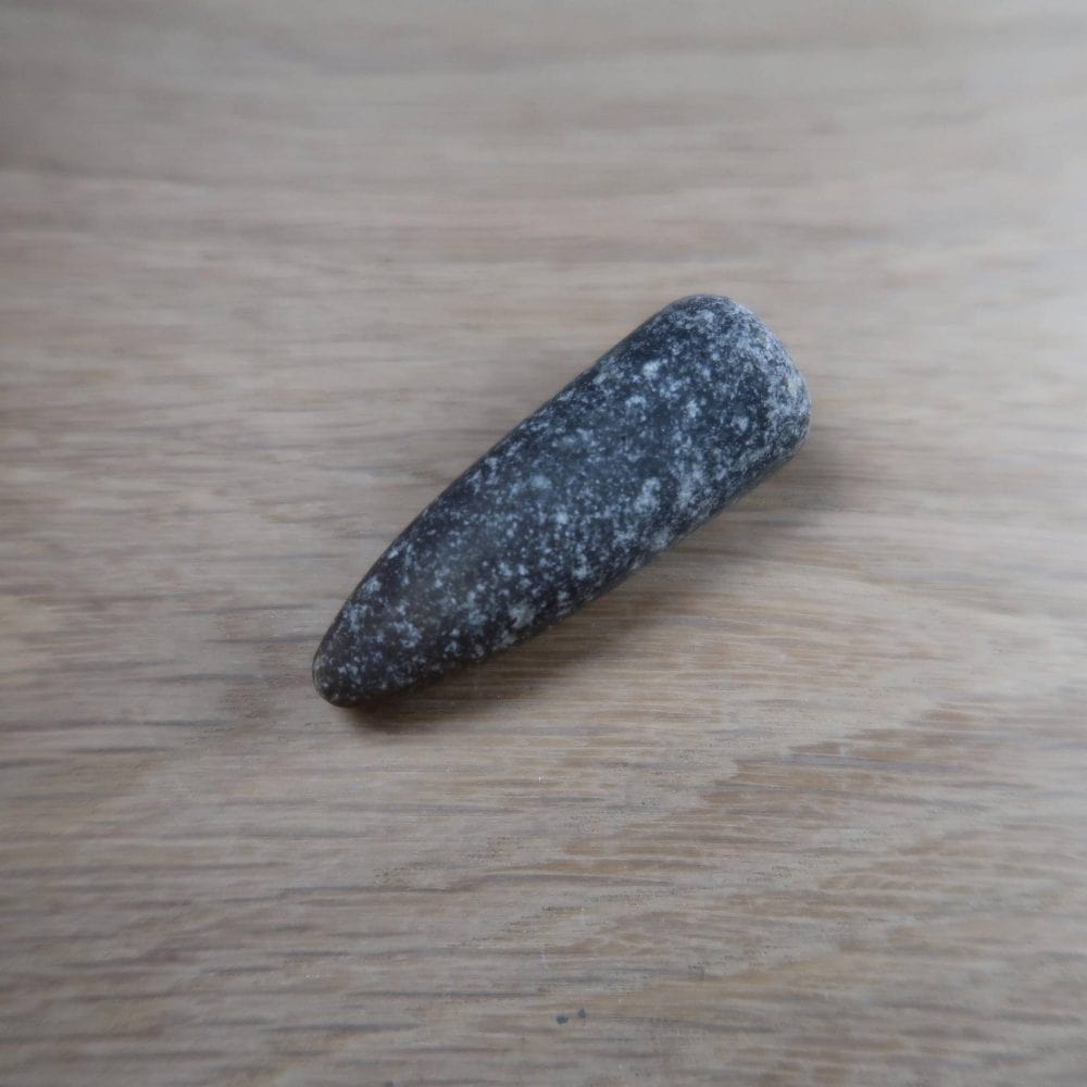 Belemnites From Lyme Regis And Charmouth (1)