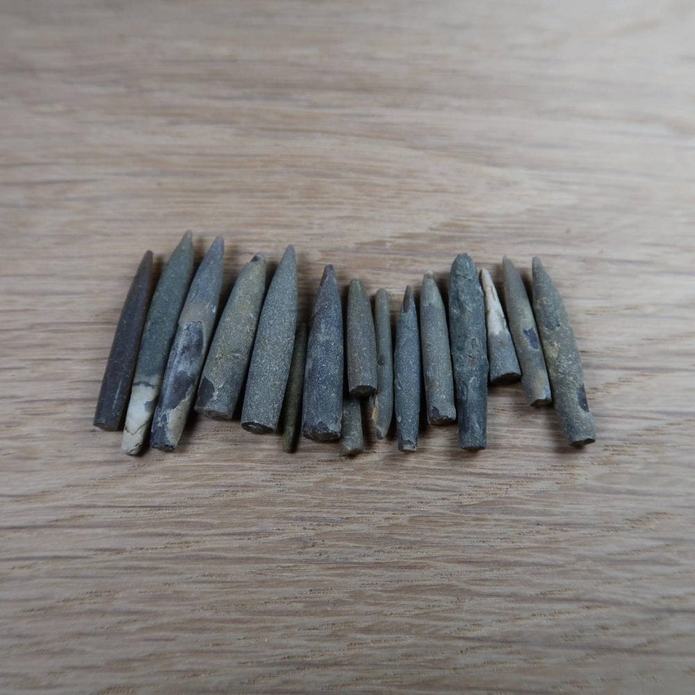 Belemnites From Lyme Regis And Charmouth (4)