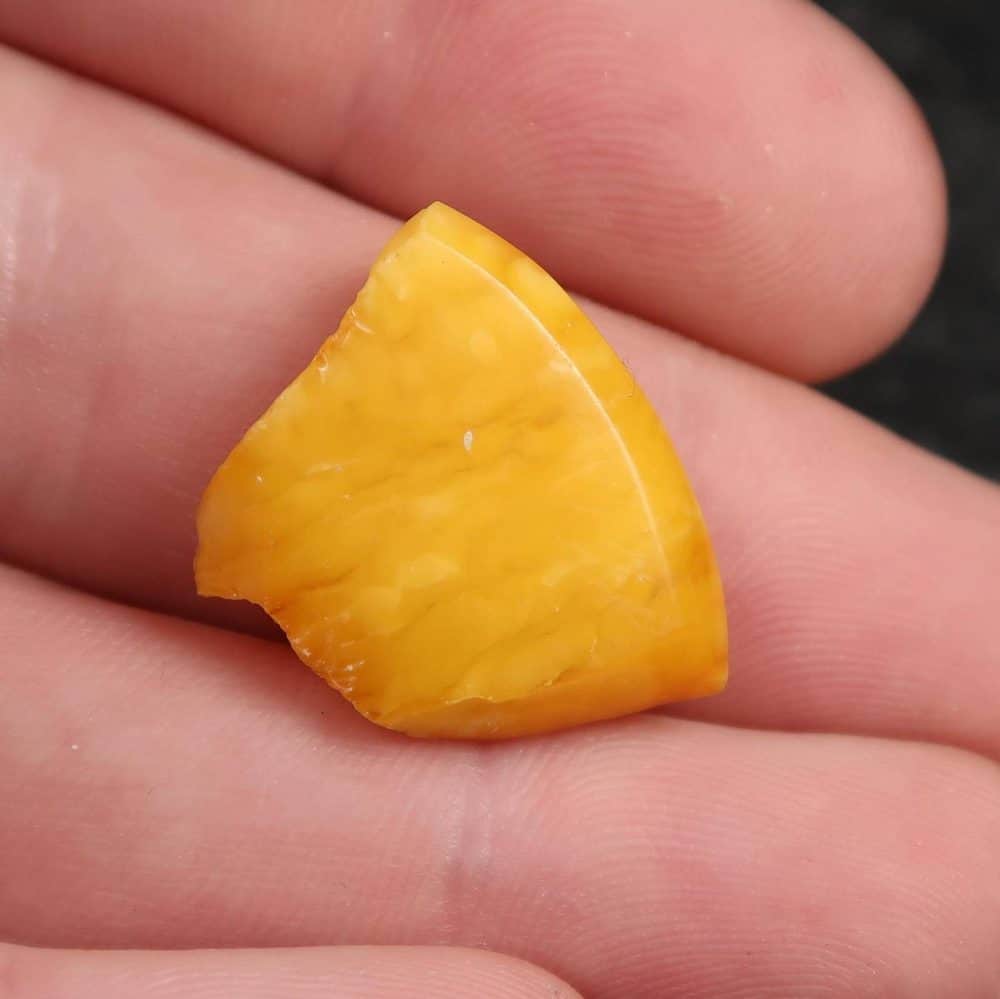baltic butterscotch amber for lapidary usage