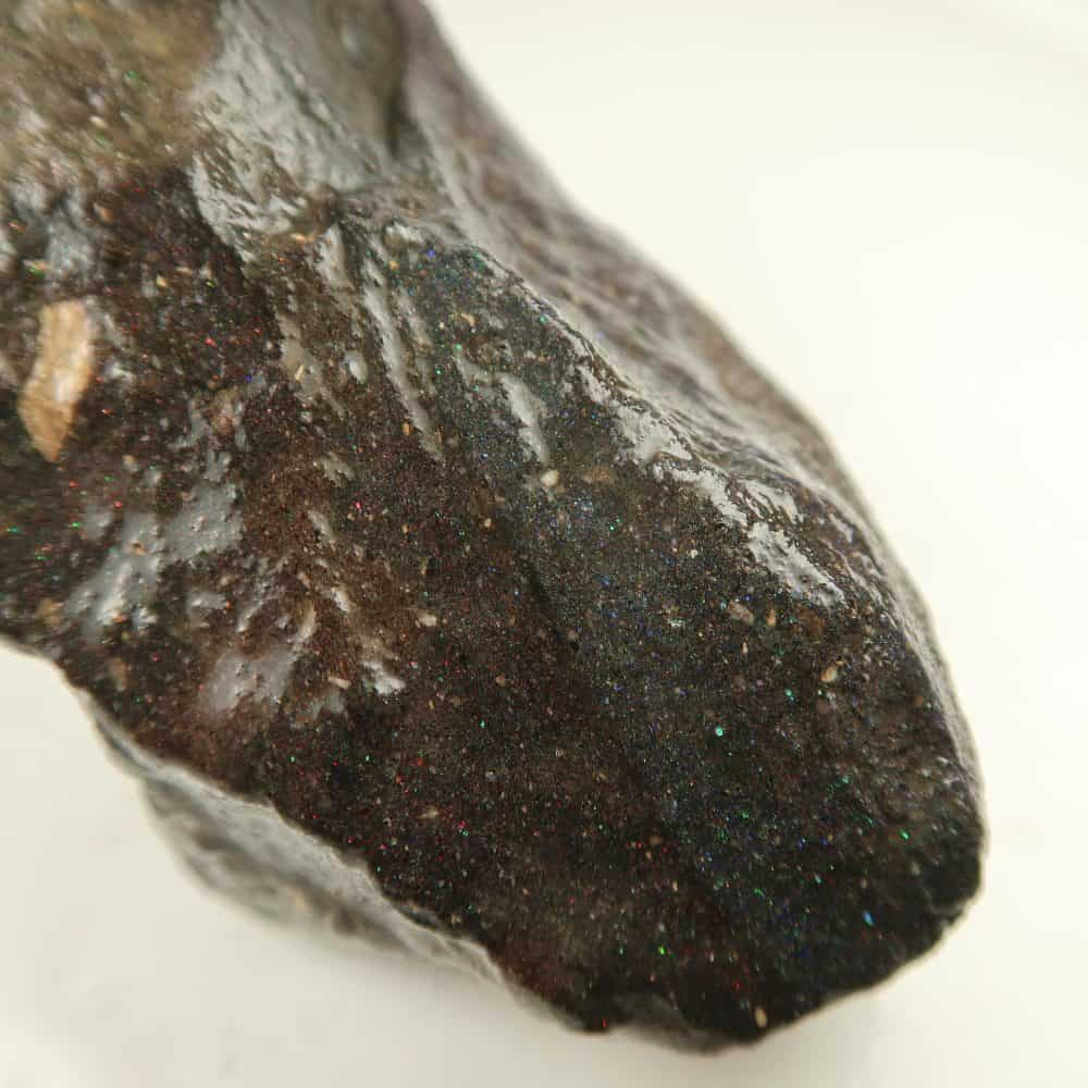 opal specimens / rough (honduran black)