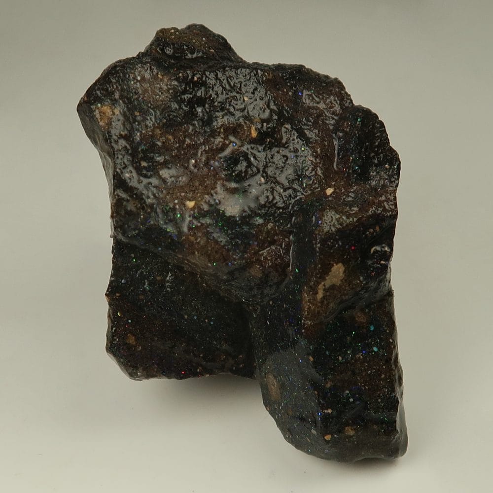 opal specimens / rough (honduran black)