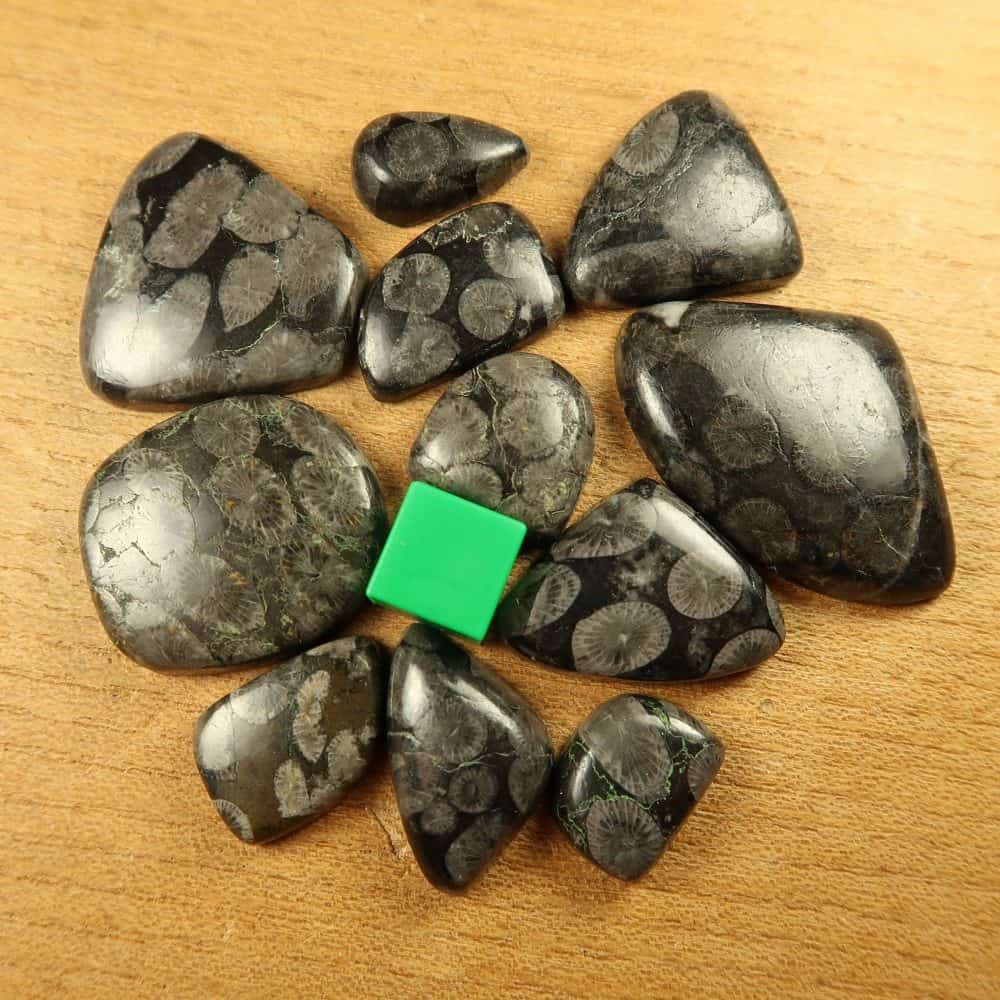 black fossil coral cabochon parcels from indonesia 4