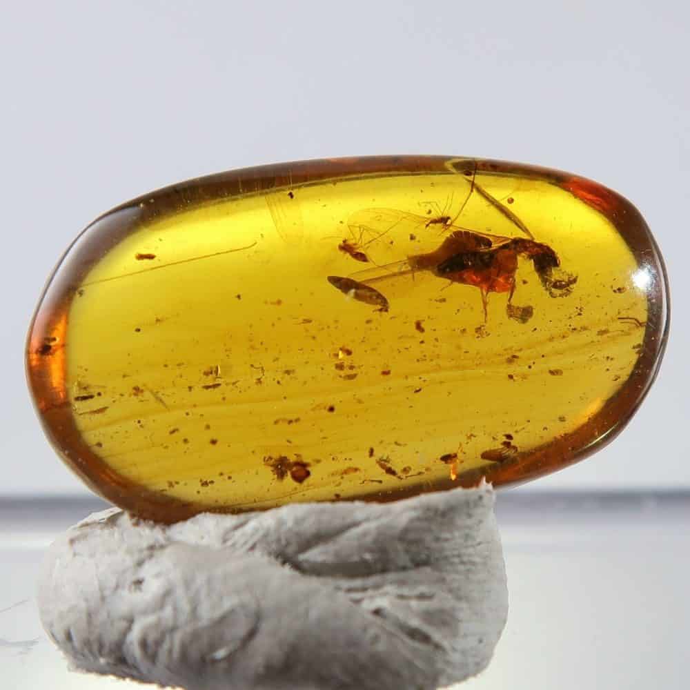 burmite amber 003 (1)