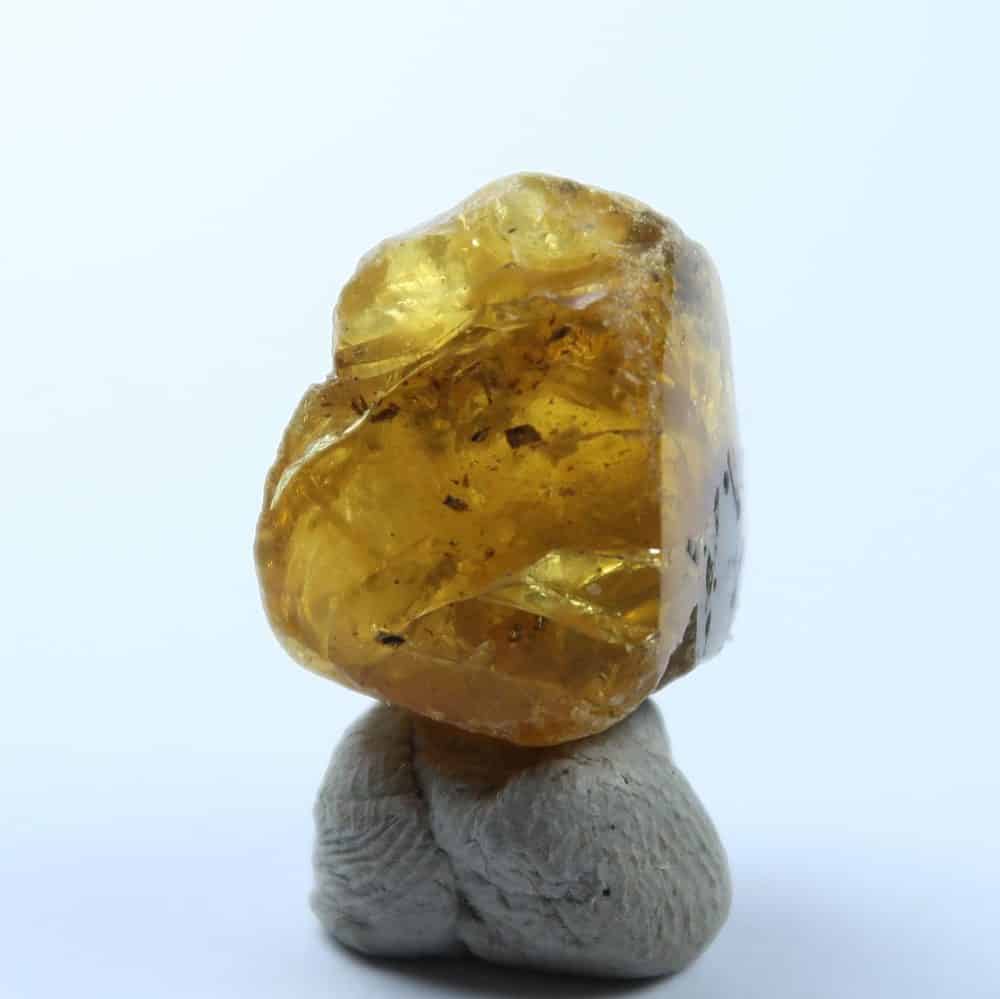 baltic amber specimens with plant detritus and a polished window 27