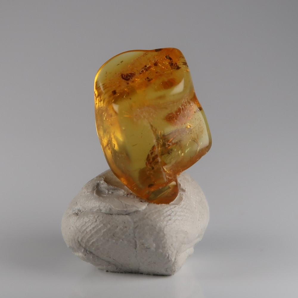 amber with inclusions (baltic)