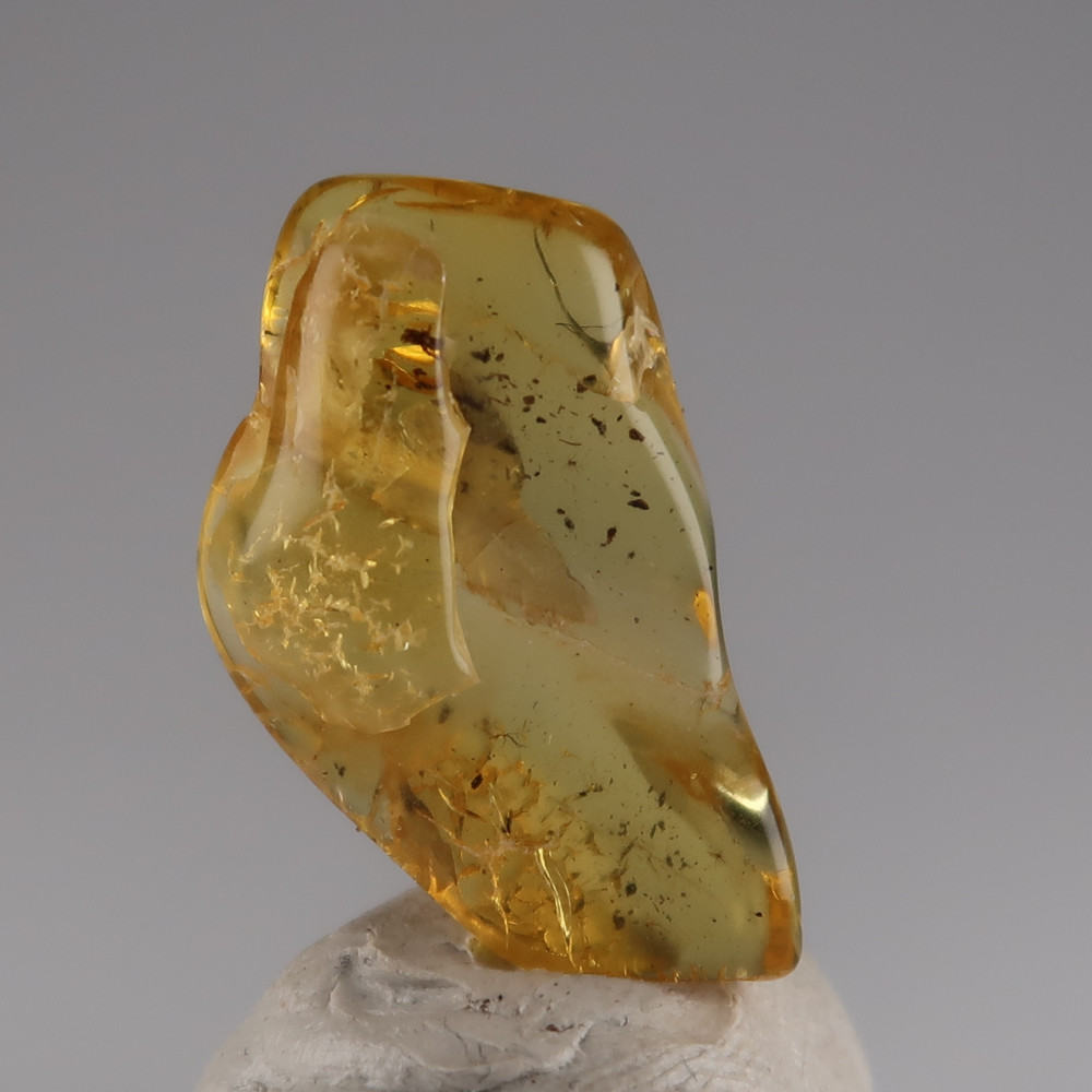 amber with inclusions (baltic)