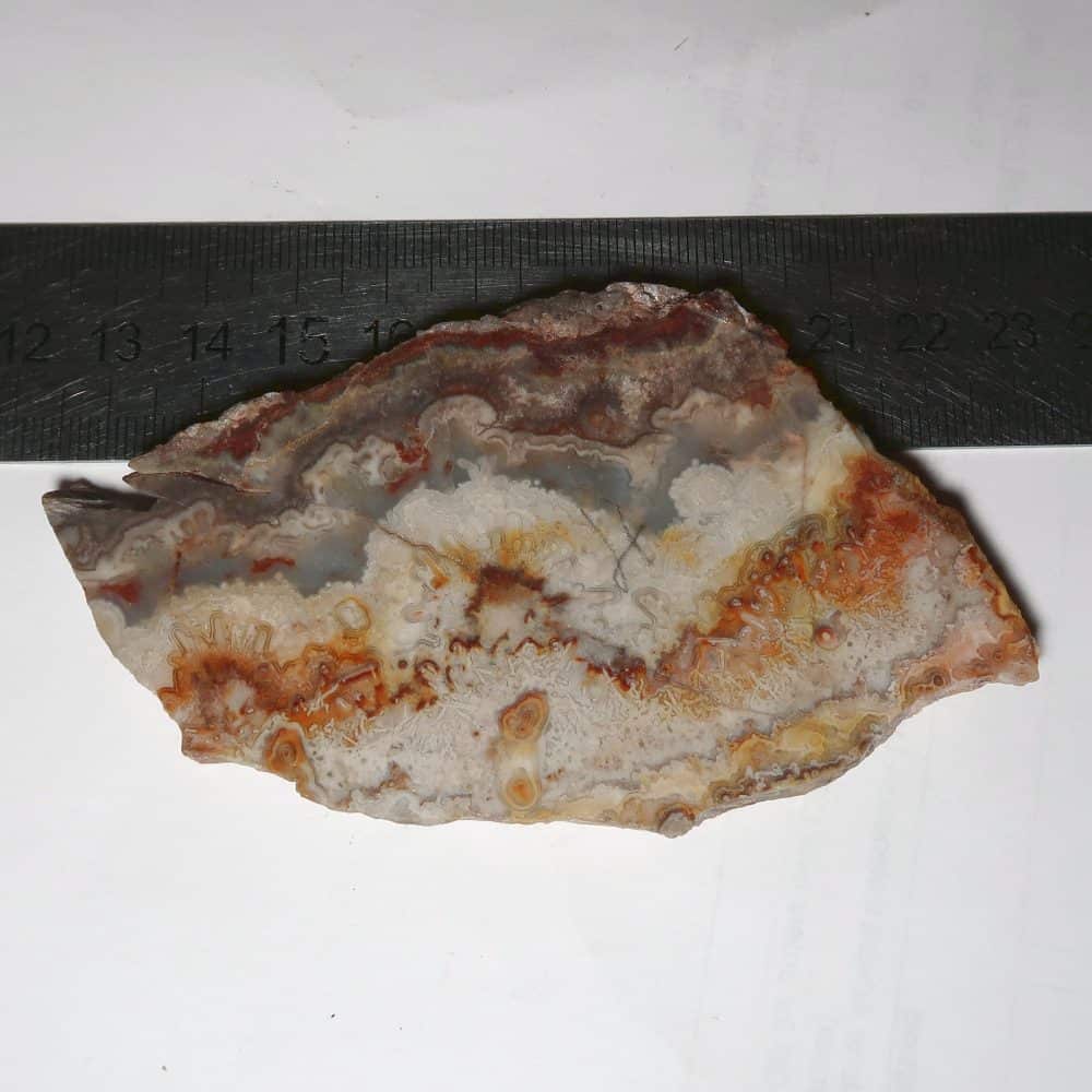 crazy lace agate for lapidary