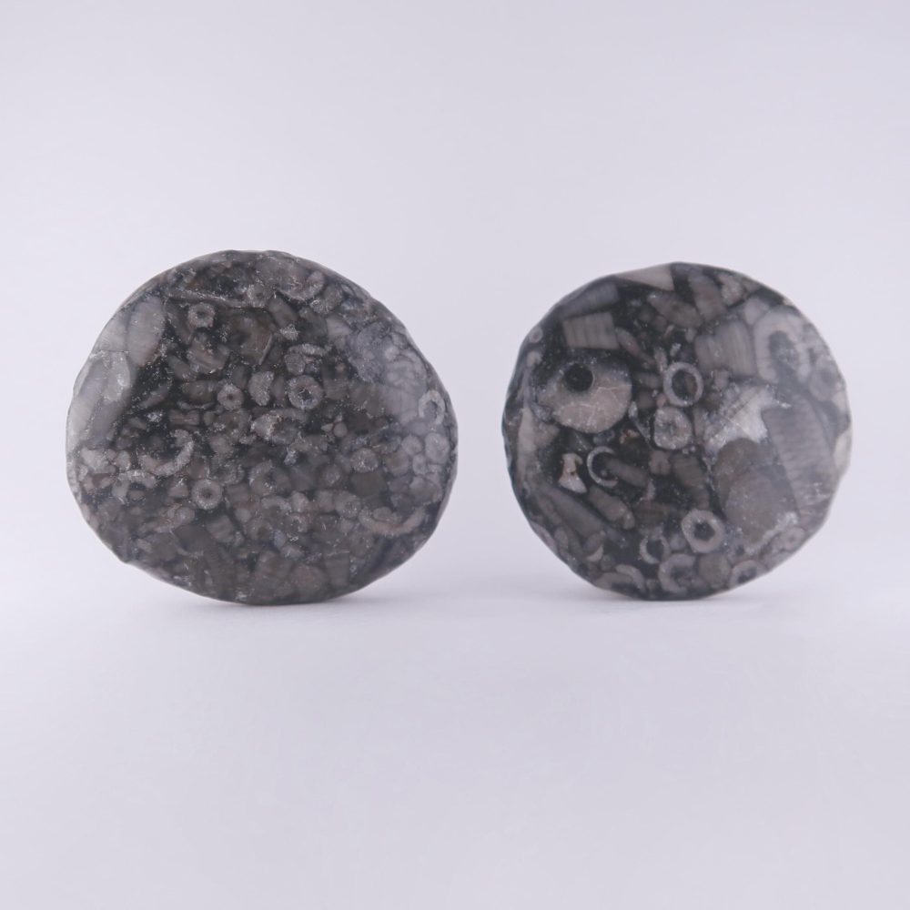 crinoidal limestone palmstones