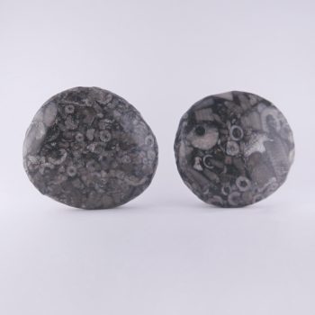 crinoidal limestone palmstones
