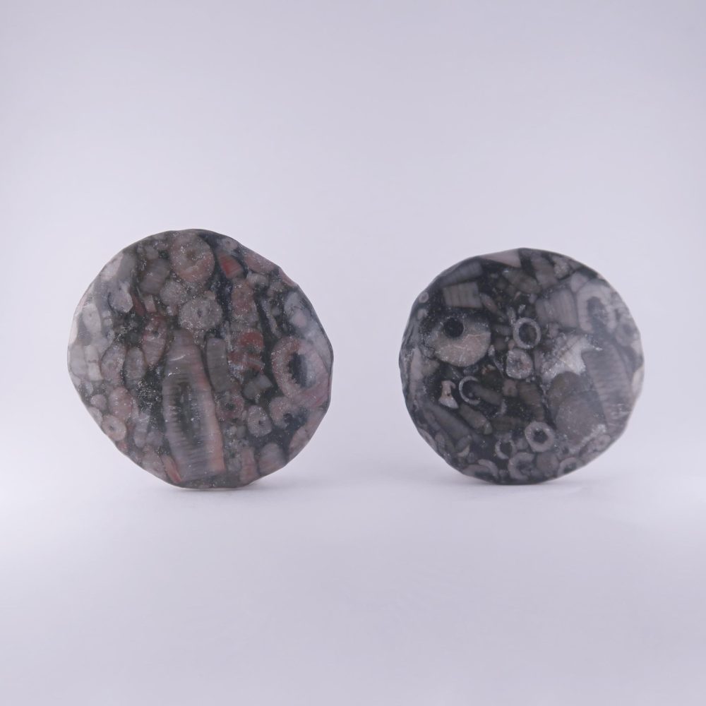 crinoidal limestone palmstones