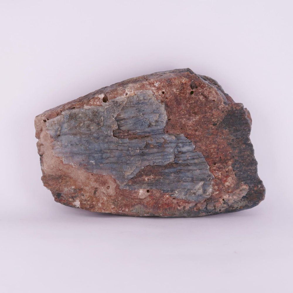 woolly mammoth tooth fossils