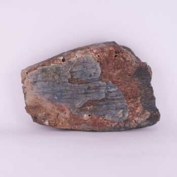 woolly mammoth tooth fossils