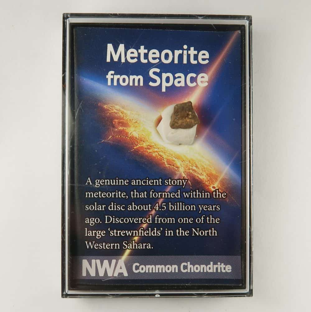 common chondrite (nwa) meteorite specimen in 'story box'
