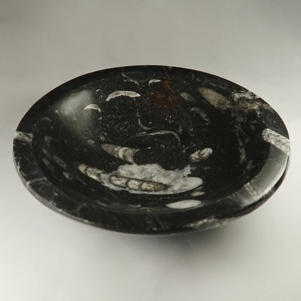 fossilstone marble dishes