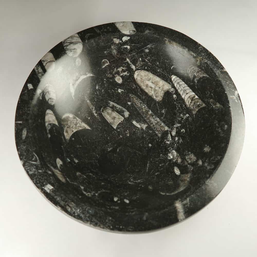 fossilstone marble dishes
