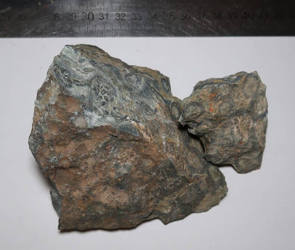 rhyolite specimens / rough (kambaba)