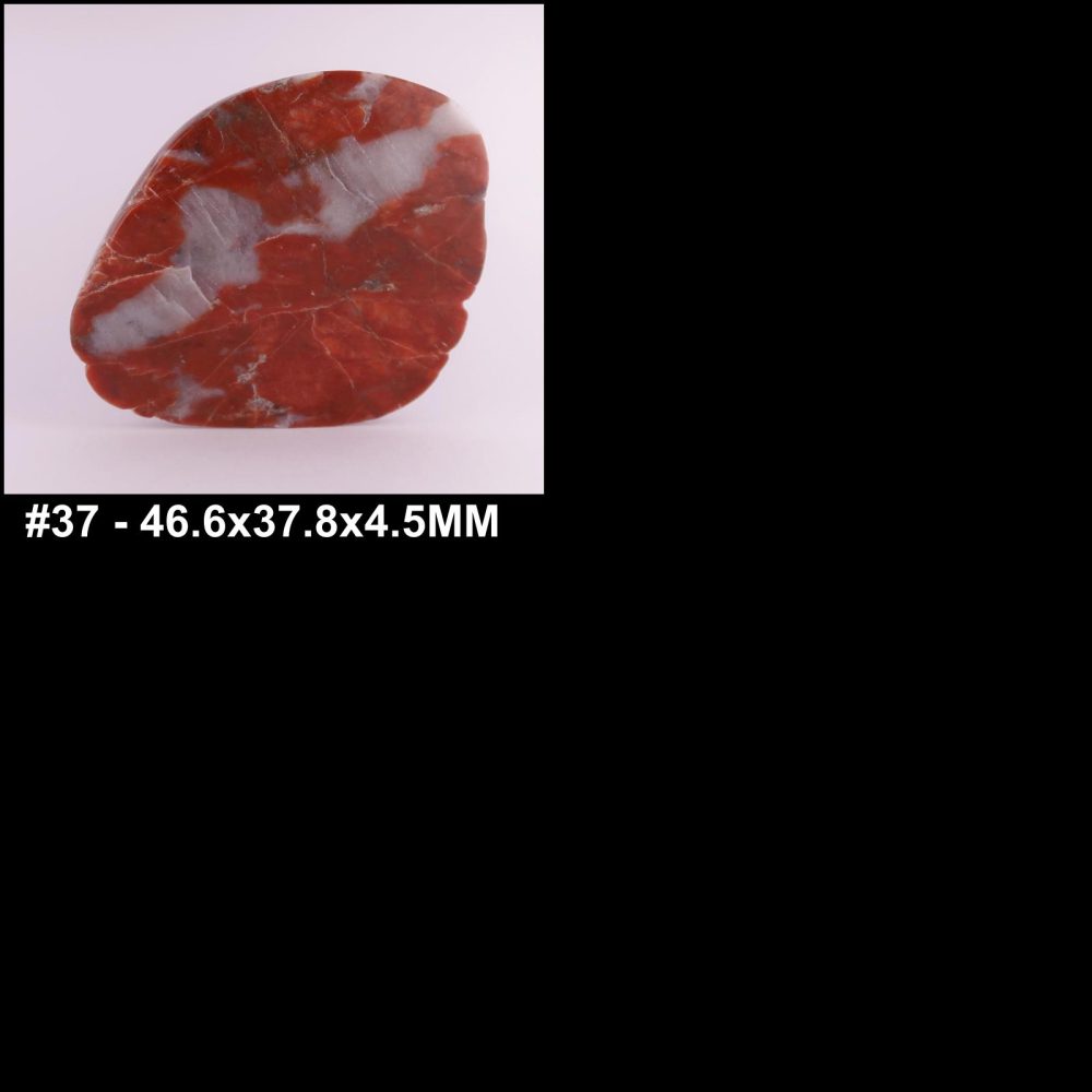 polished lewisian gneiss slices