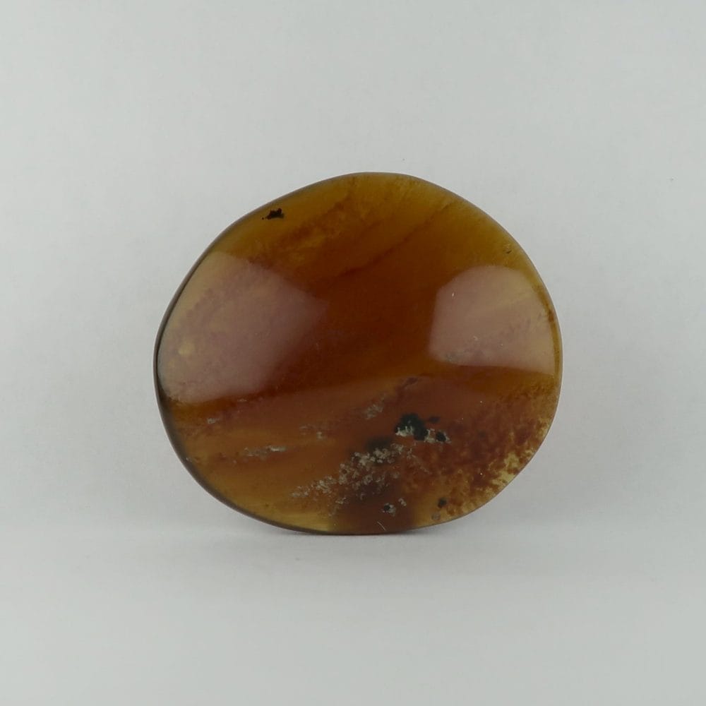 indonesian amber palmstones from sulawesi
