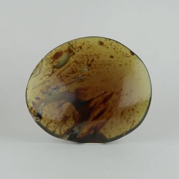 indonesian amber palmstones from sulawesi 4