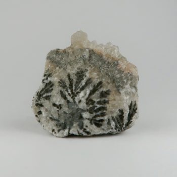 Manganese dendrites in Calcite, Oughoud, Morocco