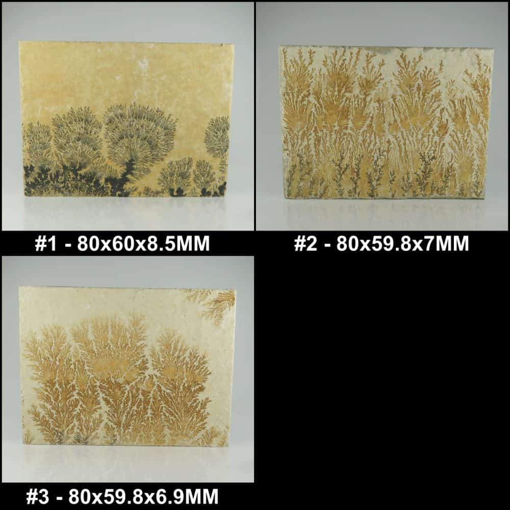 manganese dendrite specimens from solnhofen, germany