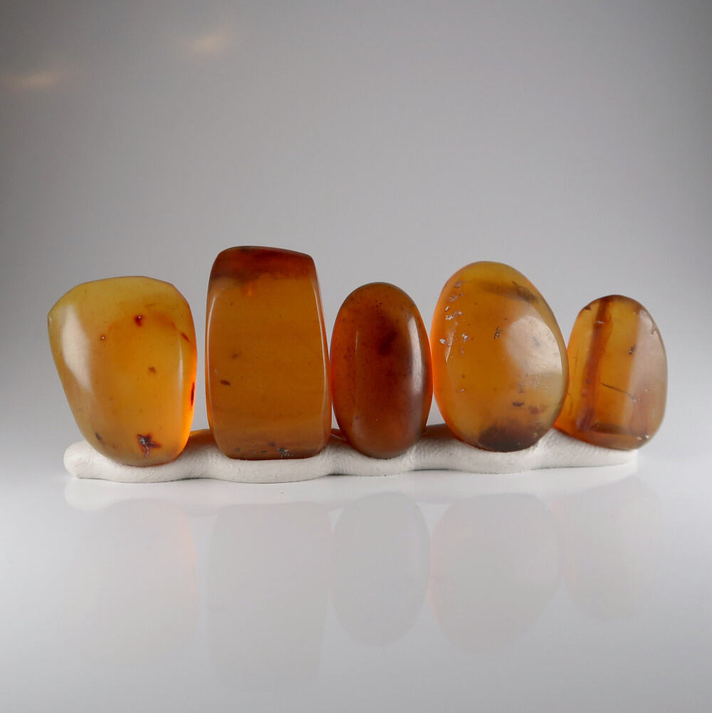polish your own amber (burmite)