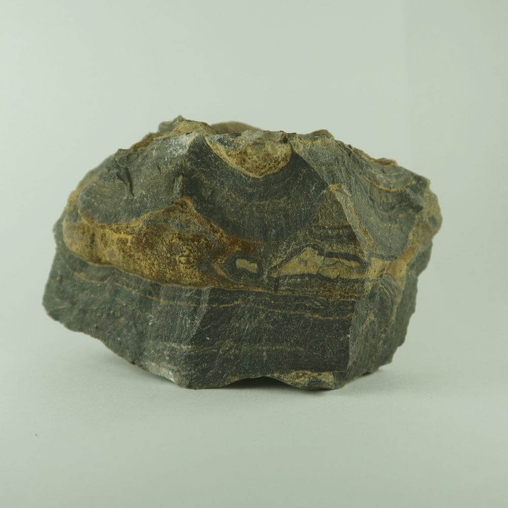 stromatolite specimens