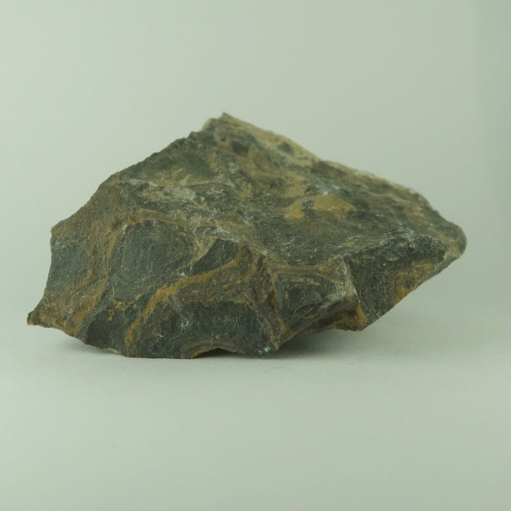 stromatolite specimens