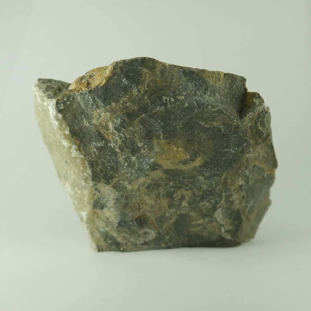 stromatolite specimens