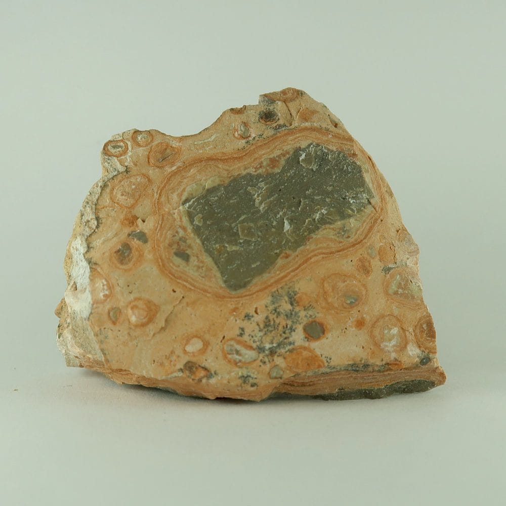 rhyolite specimens (orbicular)