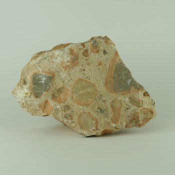 rhyolite specimens (orbicular)