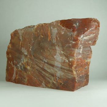 petrified wood for lapidary